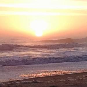 Meet your Posher, Martha